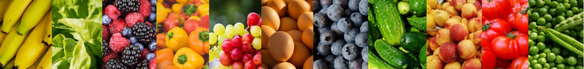 pages_content_311_photo